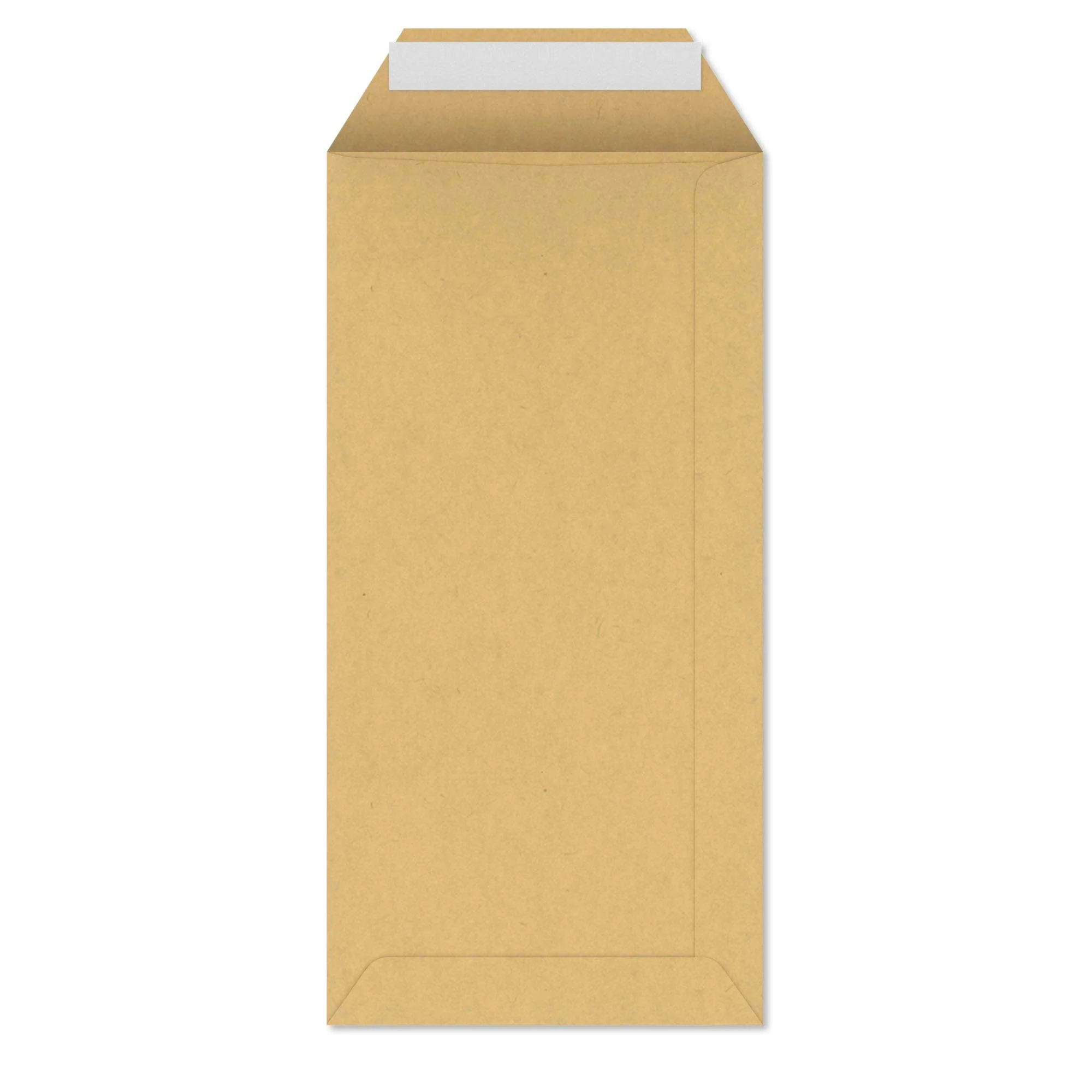 220x110 mm (DL) Manila Envelope